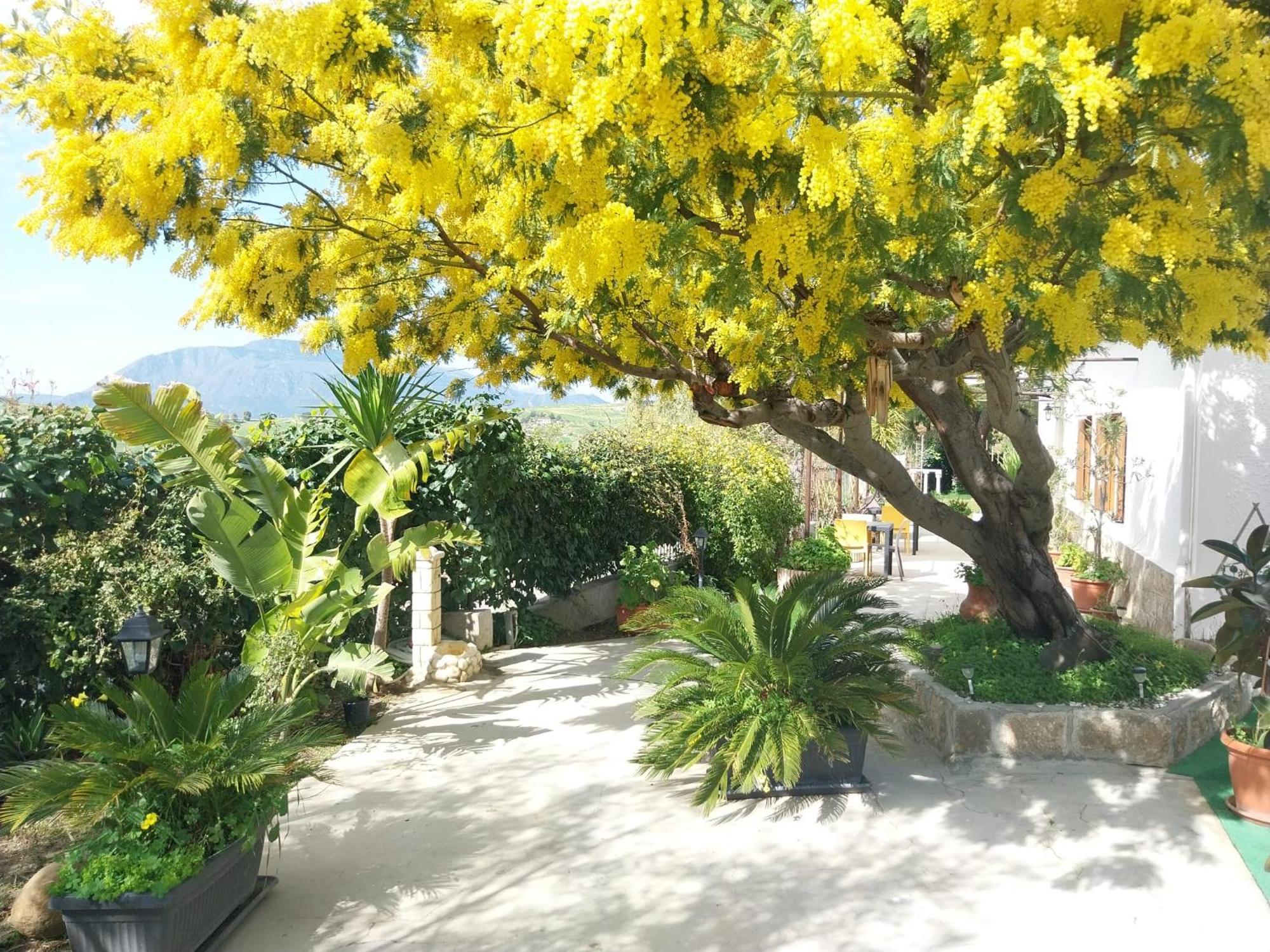 Casa Lachesi Caccamo ภายนอก รูปภาพ